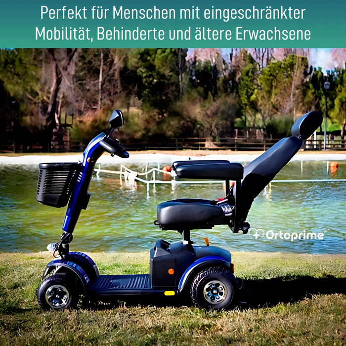 Kompakter Behindertenroller | Vollfederung