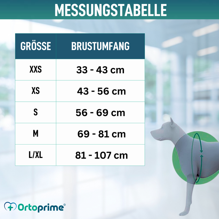 Gepolstertes Hundegeschirr für den Alltag | Doppelte Befestigung