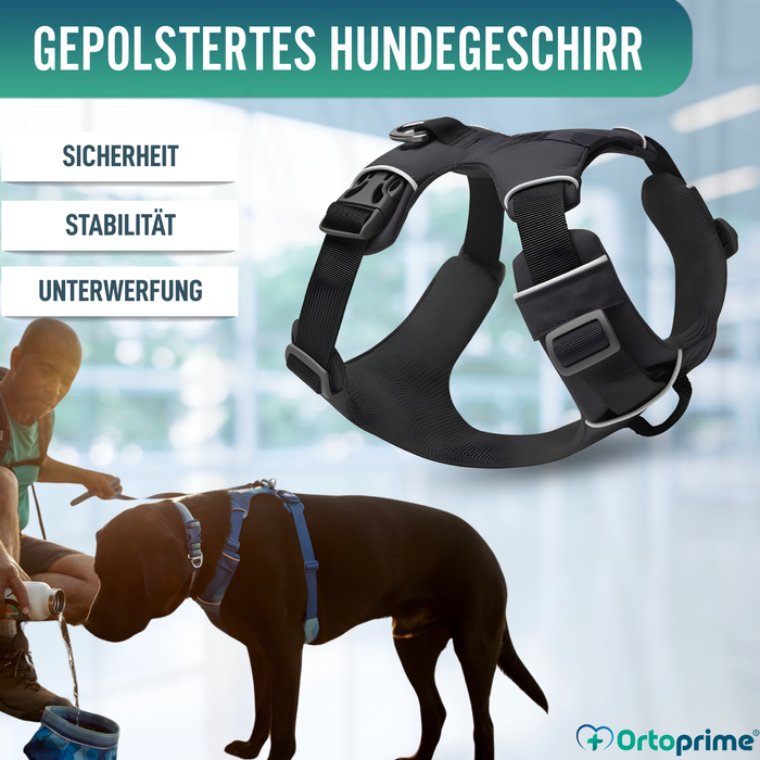 Gepolstertes Hundegeschirr für den Alltag | Doppelte Befestigung