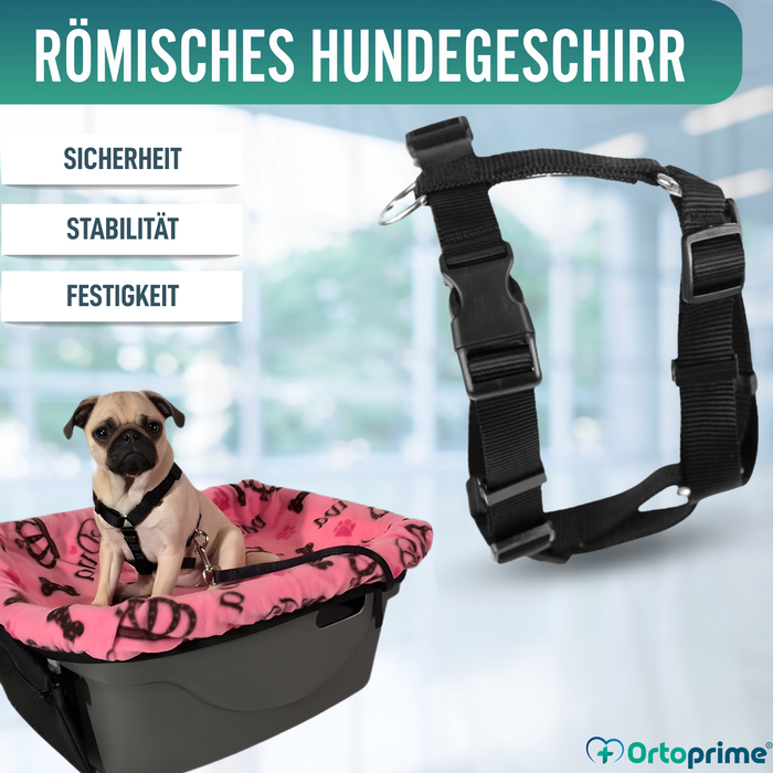 Hundegeschirr für Neurologische Rehabilitation | 5 Größen