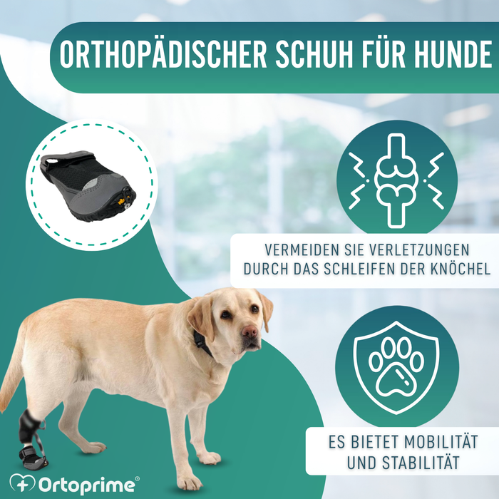 Schuh für Propriozeptiven Hundekorrektor | Gummisohle