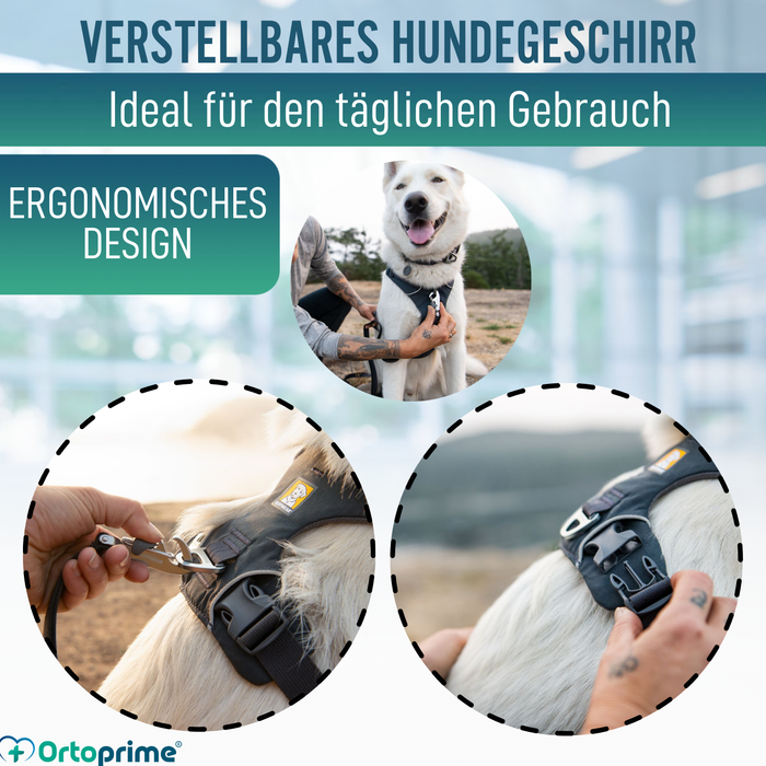 Gepolstertes Hundegeschirr für den Alltag | Doppelte Befestigung