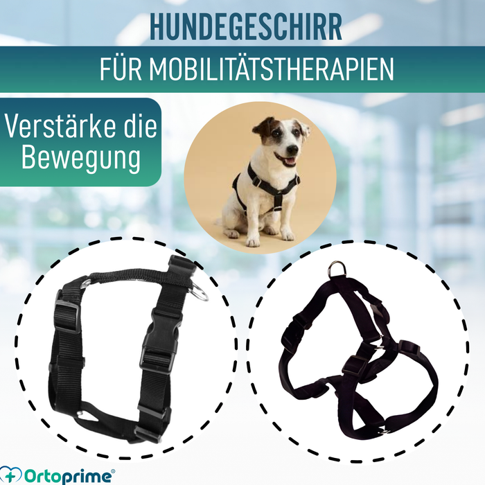 Hundegeschirr für Neurologische Rehabilitation | 5 Größen
