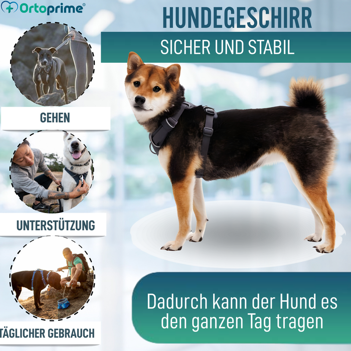 Gepolstertes Hundegeschirr für den Alltag | Doppelte Befestigung