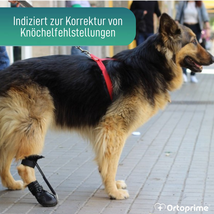 Schuh für Propriozeptiven Hundekorrektor | Gummisohle