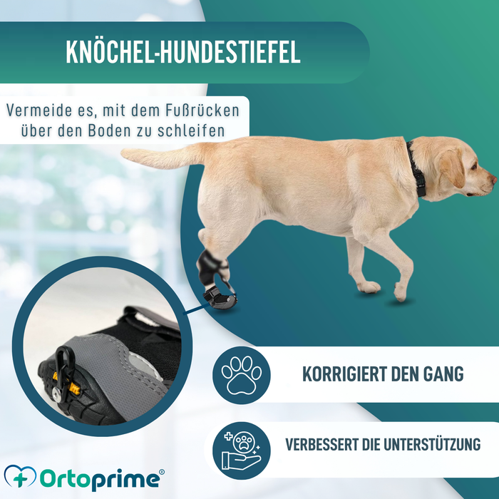 Schuh für Propriozeptiven Hundekorrektor | Gummisohle