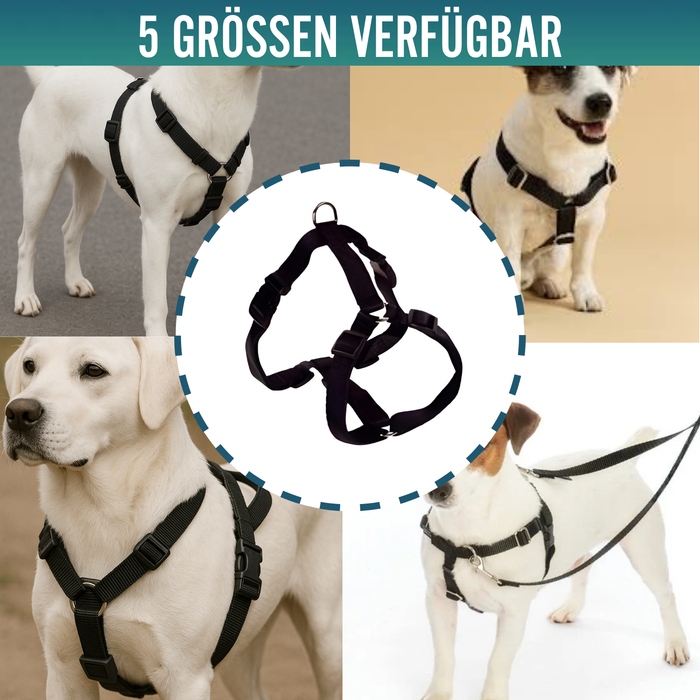 Hundegeschirr für Neurologische Rehabilitation | 5 Größen