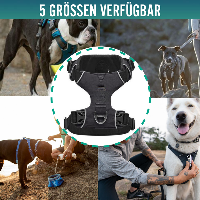 Gepolstertes Hundegeschirr für den Alltag | Doppelte Befestigung