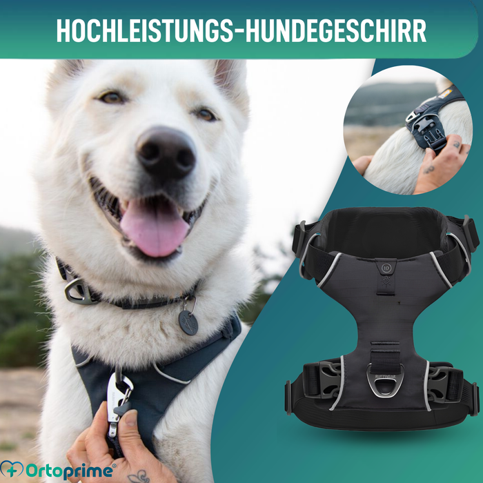Gepolstertes Hundegeschirr für den Alltag | Doppelte Befestigung