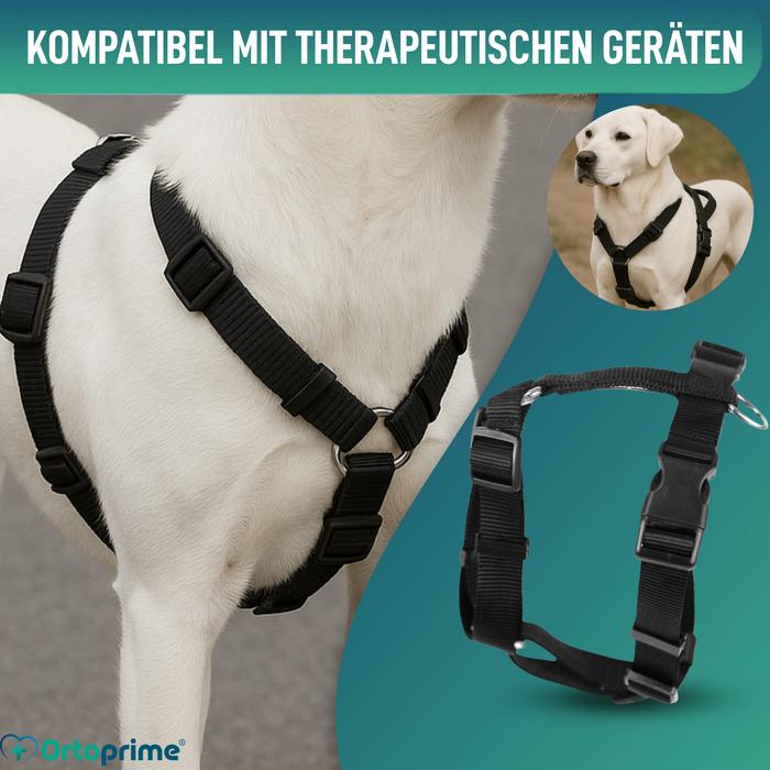 Hundegeschirr für Neurologische Rehabilitation | 5 Größen