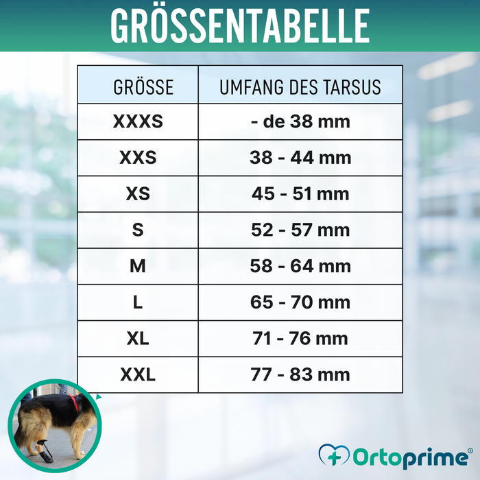 Schuh für Propriozeptiven Hundekorrektor | Gummisohle