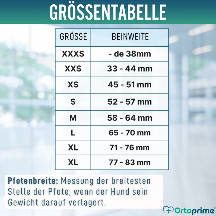 Hoher Winterstiefel für Hunde | Rutschfeste Sohle