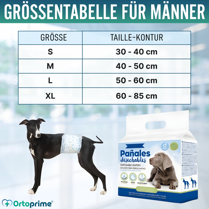 Hundewindeln für Rüden Ultra Saugfähig | 12er Pack