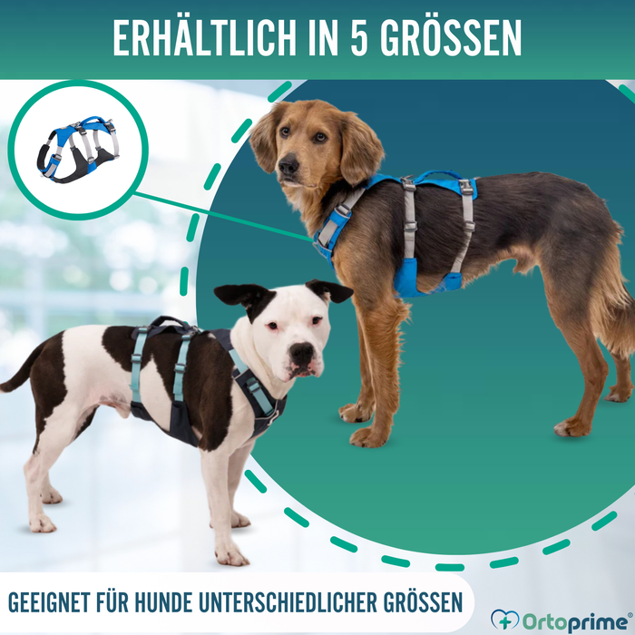 Multifunktionales Hebegeschirr für Hunde | Robuste Struktur