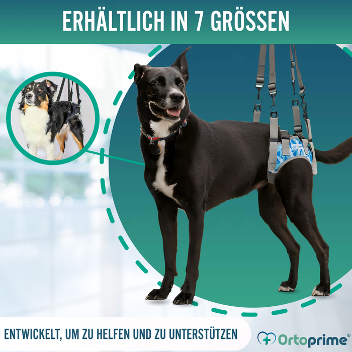 Hundegeschirr für Eingeschränkte Mobilität der Hinterbeine