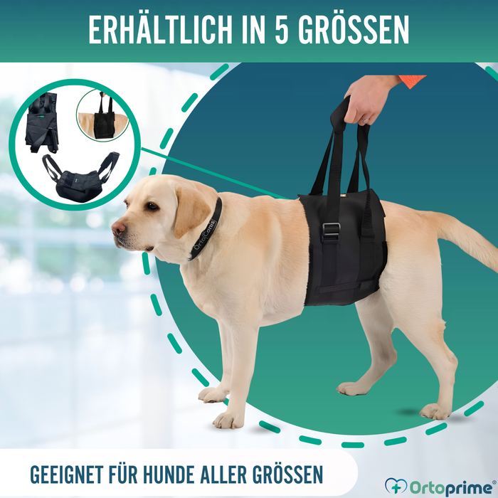 Hilfe-Band für Hunde mit Eingeschränkter Mobilität | 5 Größen