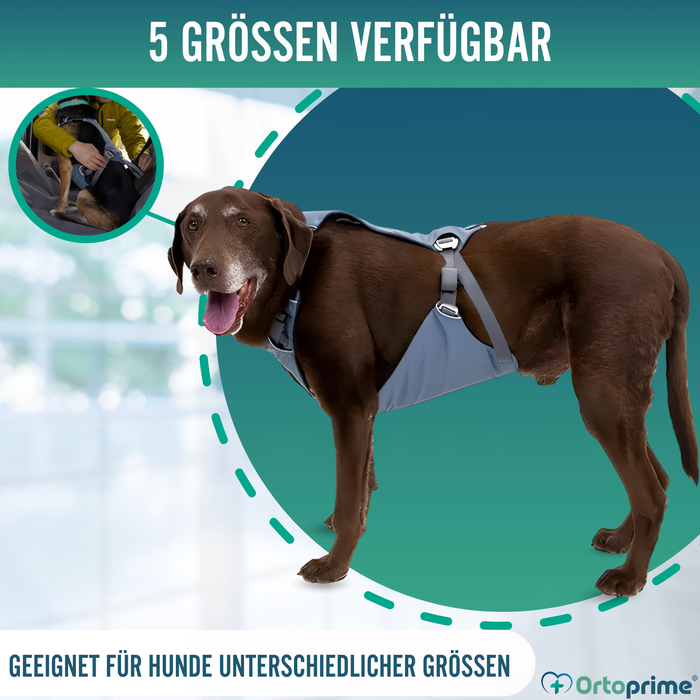 Sicherheitsgeschirr für Hundetransport | Hohe Belastbarkeit