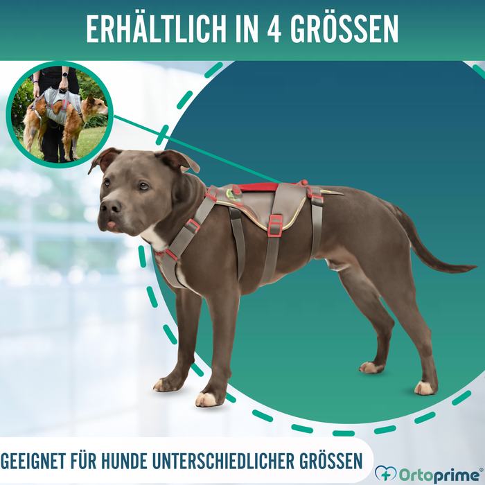 Kletter-Unterstützungsgeschirr für Hunde | Hohe Belastbarkeit