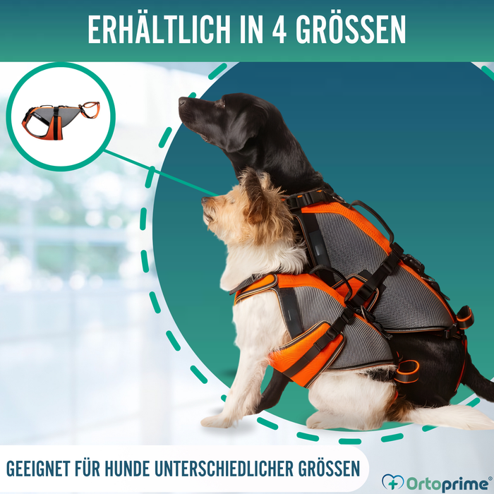 Ganzheitliches Rehabilitationsgeschirr für Hunde | 3D-Material