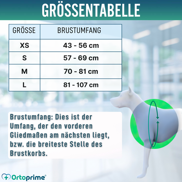 Kletter-Unterstützungsgeschirr für Hunde | Hohe Belastbarkeit