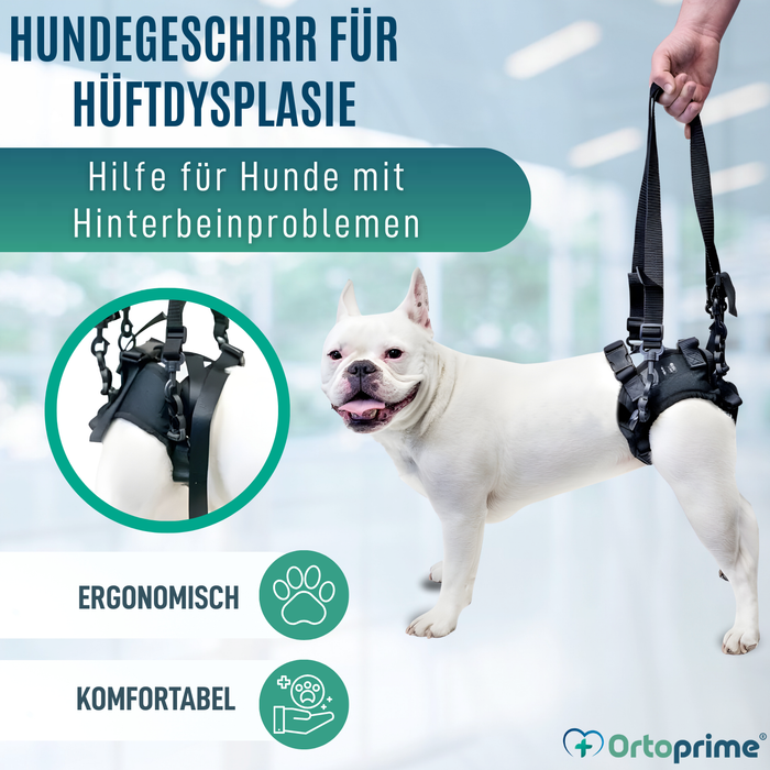 Hundegeschirr für Eingeschränkte Mobilität der Hinterbeine