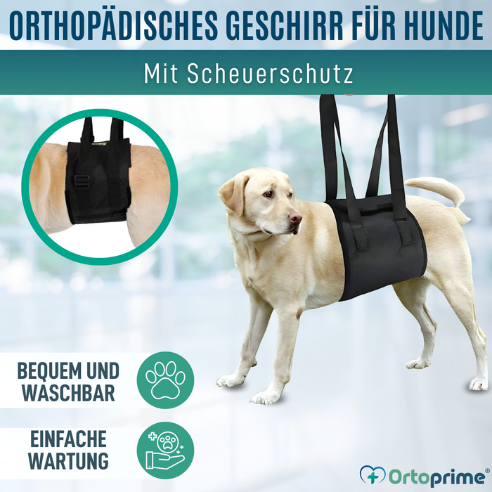 Hilfe-Band für Hunde mit Eingeschränkter Mobilität | 5 Größen
