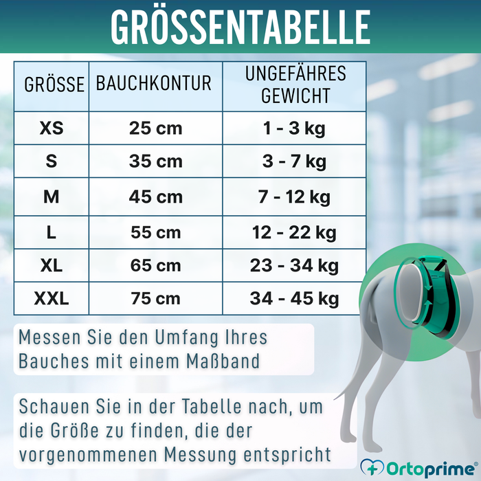 Anti-Leckband für Inkontinenz bei Hunden | Männlicher Hund