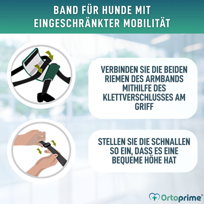 Hilfe-Band für Hunde mit Eingeschränkter Mobilität | 5 Größen