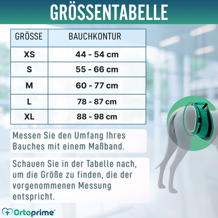 Hilfe-Band für Hunde mit Eingeschränkter Mobilität | 5 Größen