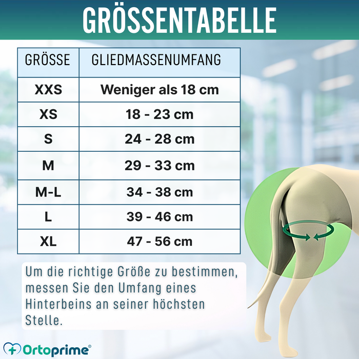 Hundegeschirr für Eingeschränkte Mobilität der Hinterbeine