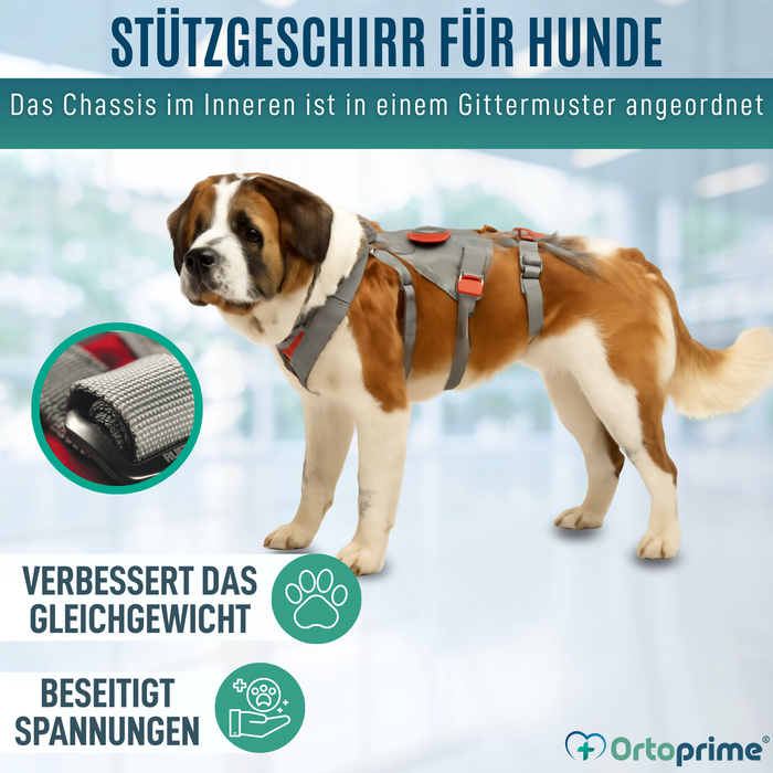 Kletter-Unterstützungsgeschirr für Hunde | Hohe Belastbarkeit
