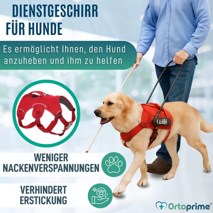 Stützharnisch für Assistenzhunde | 5 Größen