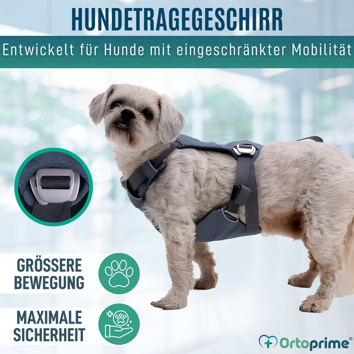 Sicherheitsgeschirr für Hundetransport | Hohe Belastbarkeit