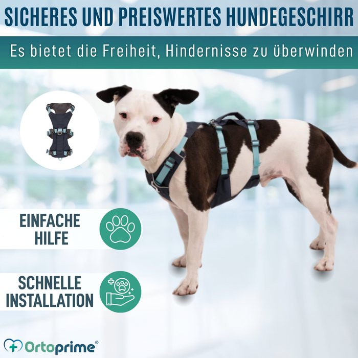 Multifunktionales Hebegeschirr für Hunde | Robuste Struktur