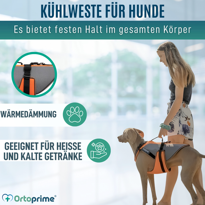 Ganzheitliches Rehabilitationsgeschirr für Hunde | 3D-Material