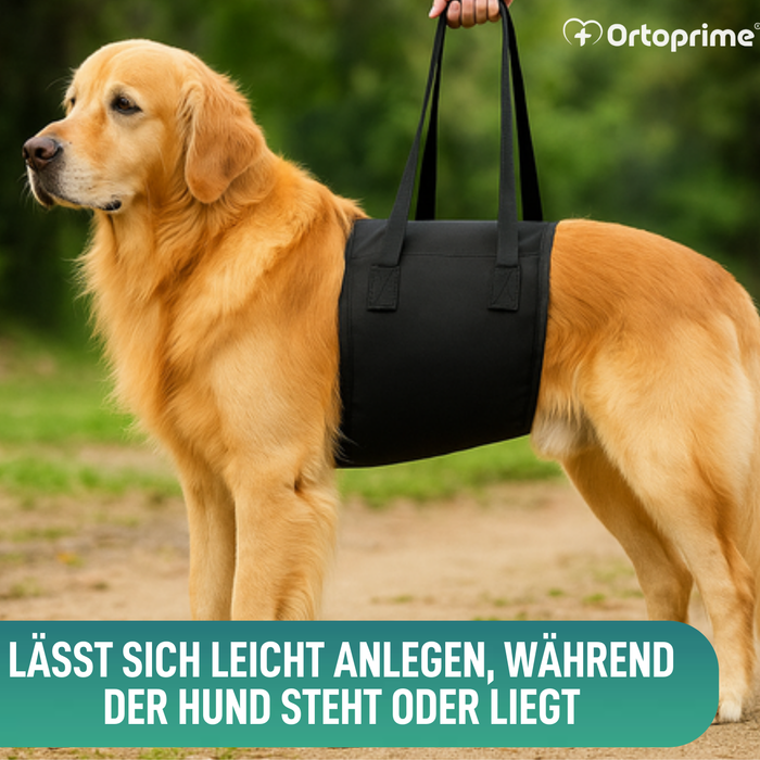 Hilfe-Band für Hunde mit Eingeschränkter Mobilität | 5 Größen