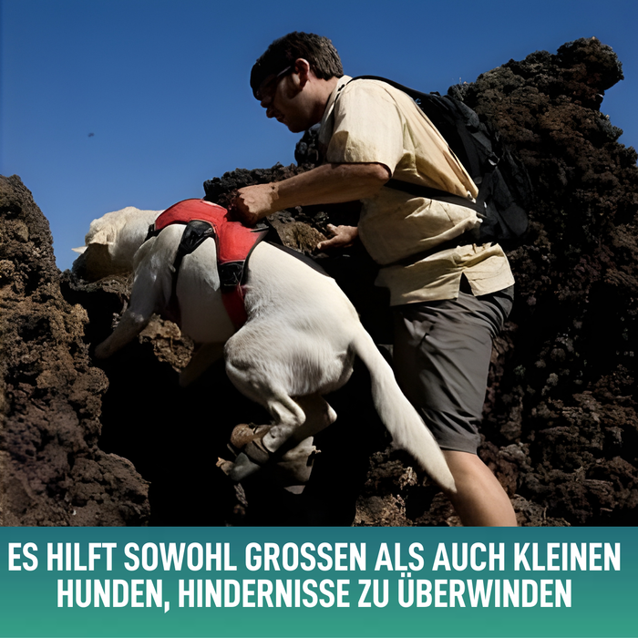 Stützharnisch für Assistenzhunde | 5 Größen