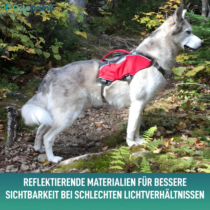 Such- und Rettungshundegeschirr | Hohe Beständigkeit
