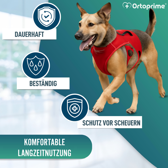 Stützharnisch für Assistenzhunde | 5 Größen