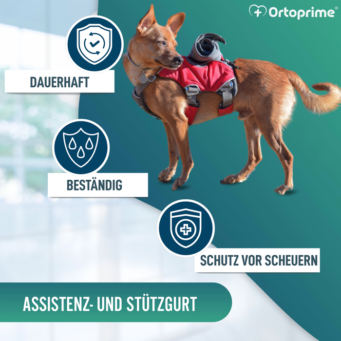Such- und Rettungshundegeschirr | Hohe Beständigkeit