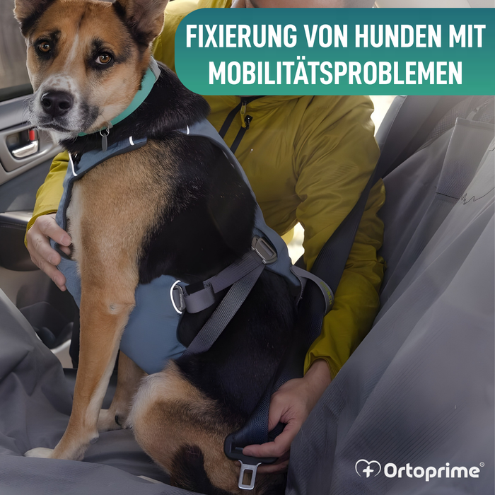 Sicherheitsgeschirr für Hundetransport | Hohe Belastbarkeit