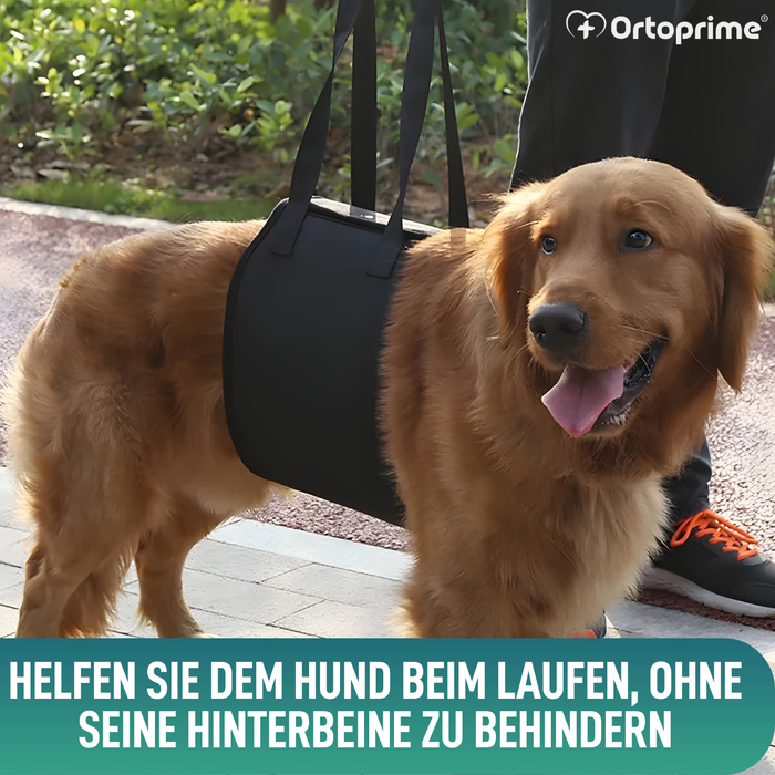 Hilfe-Band für Hunde mit Eingeschränkter Mobilität | 5 Größen