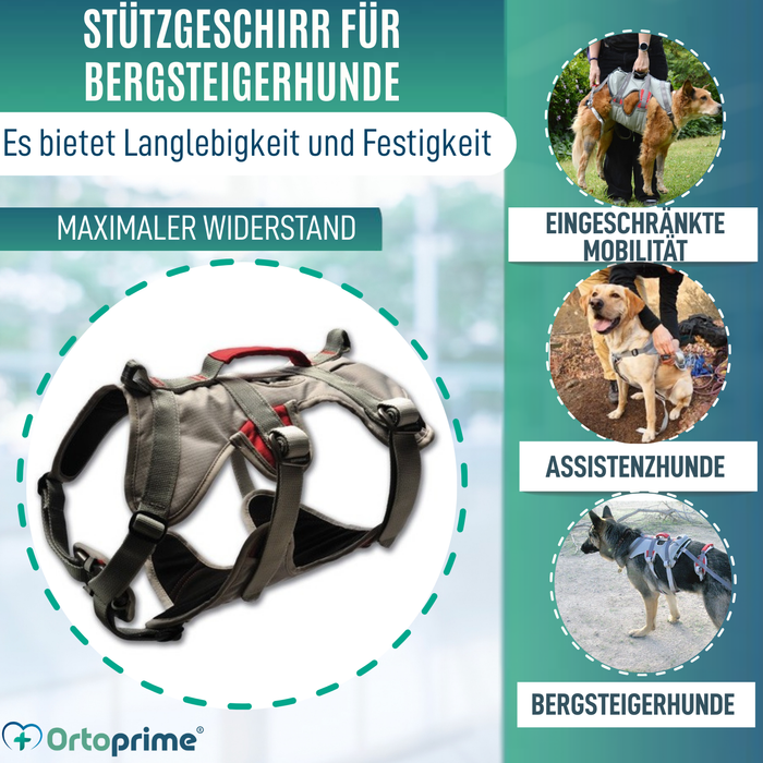 Kletter-Unterstützungsgeschirr für Hunde | Hohe Belastbarkeit