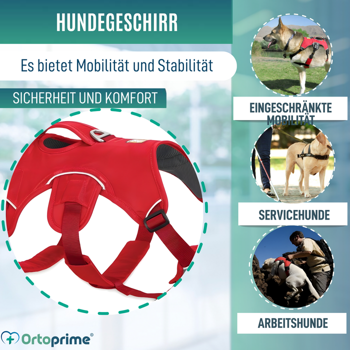 Stützharnisch für Assistenzhunde | 5 Größen