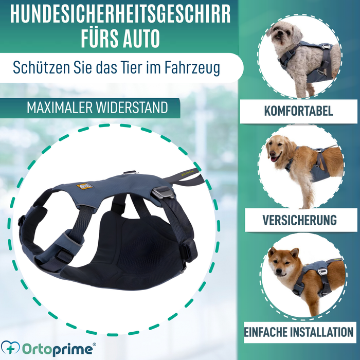 Sicherheitsgeschirr für Hundetransport | Hohe Belastbarkeit