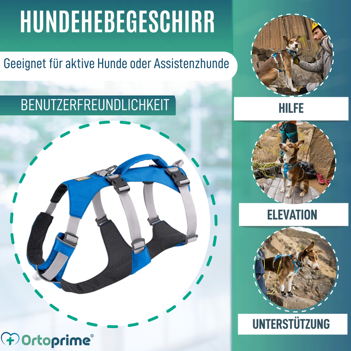 Multifunktionales Hebegeschirr für Hunde | Robuste Struktur
