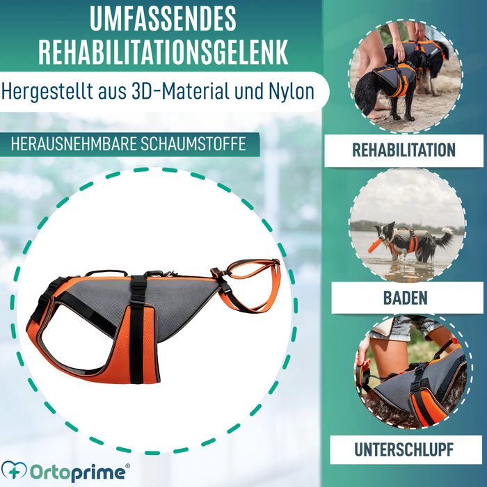 Ganzheitliches Rehabilitationsgeschirr für Hunde | 3D-Material