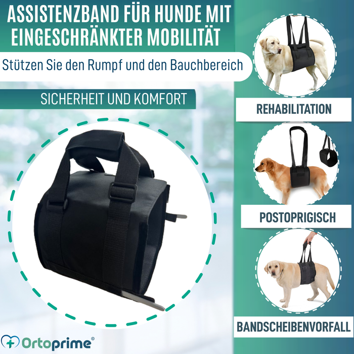 Hilfe-Band für Hunde mit Eingeschränkter Mobilität | 5 Größen