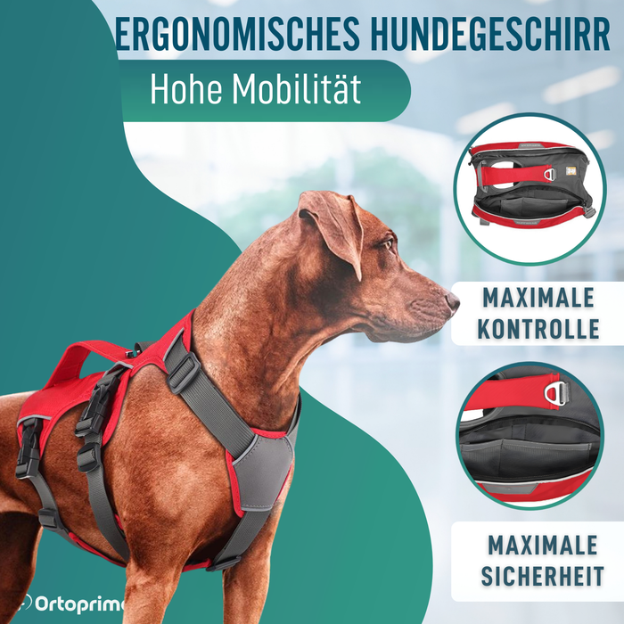 Such- und Rettungshundegeschirr | Hohe Beständigkeit