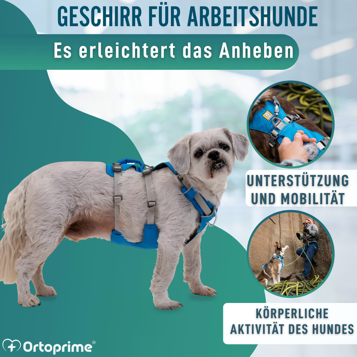 Multifunktionales Hebegeschirr für Hunde | Robuste Struktur